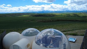 Deluxe Suite, Vineyard View