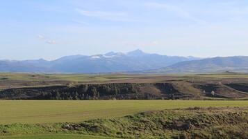 Standard Suite, Mountain View | Terrace/patio
