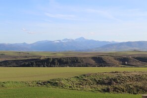 Standard Suite, Mountain View | Terrace/patio