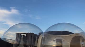 Suite Deluxe, vistes a les vinyes