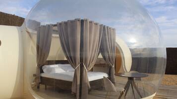 Standard Suite, Mountain View
