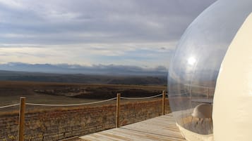 Standard Suite, Mountain View