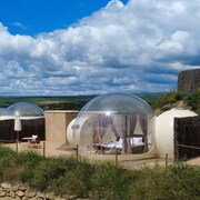 Wine Bubble