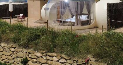 Wine Bubble