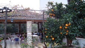 Ulkoterassi, jossa on pergola, pöytä tuoleineen ja ruukussa kasvava appelsiinipuu.