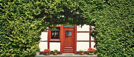 Detalle exterior