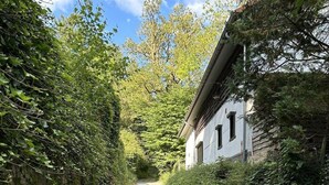 En grussti der fører til en hvid bygning omgivet af frodig vegetation.