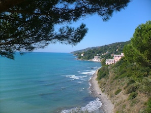 Vue sur la plage/l’océan