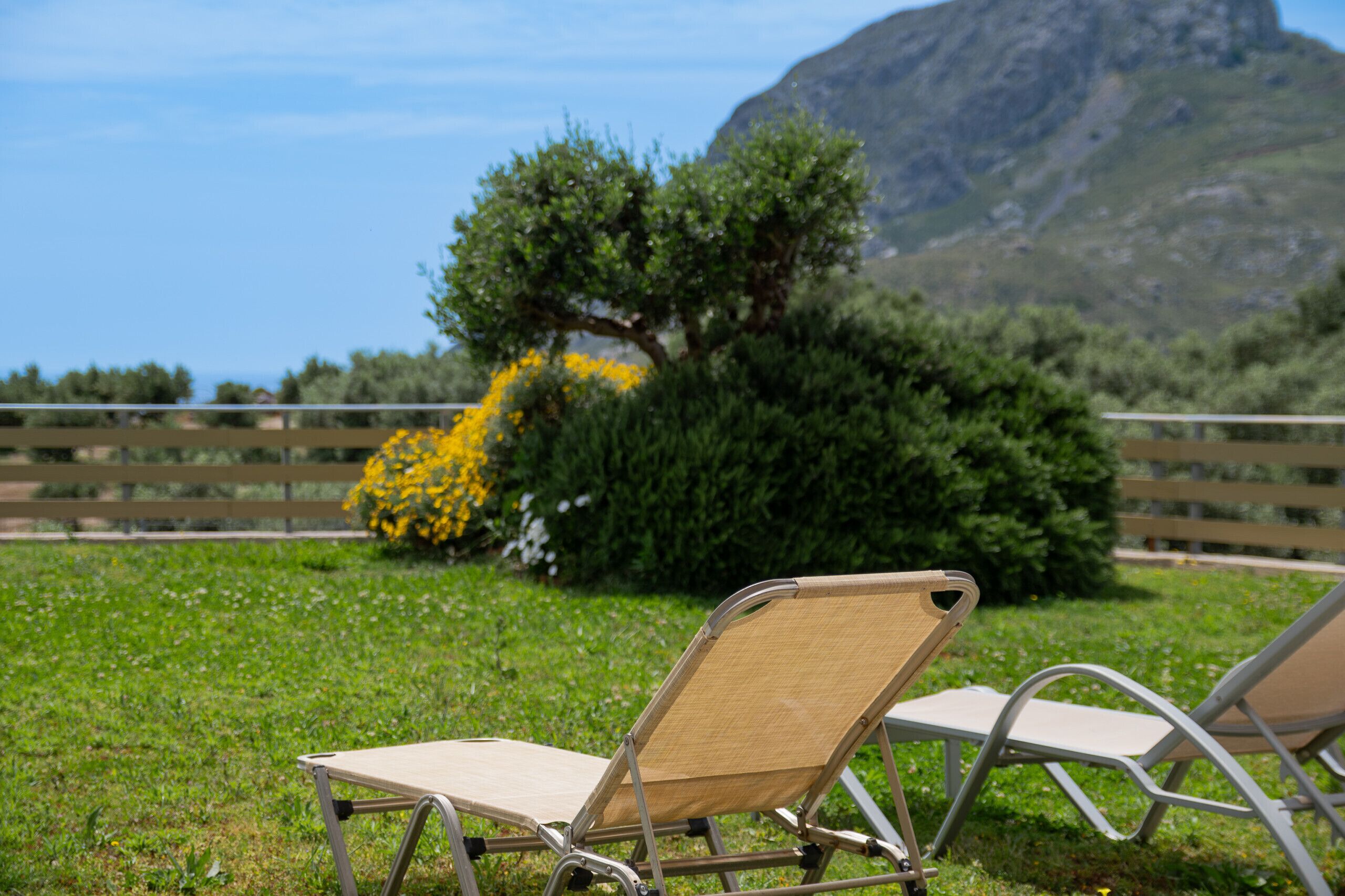 Dos sillones de relax en un área verde con vistas a una montaña y una cerca al fondo.