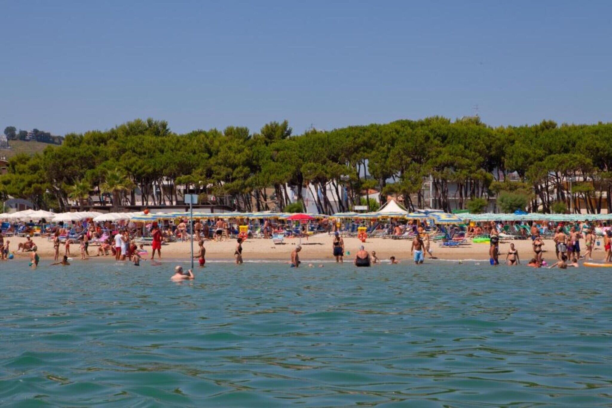 Playa en los alrededores 