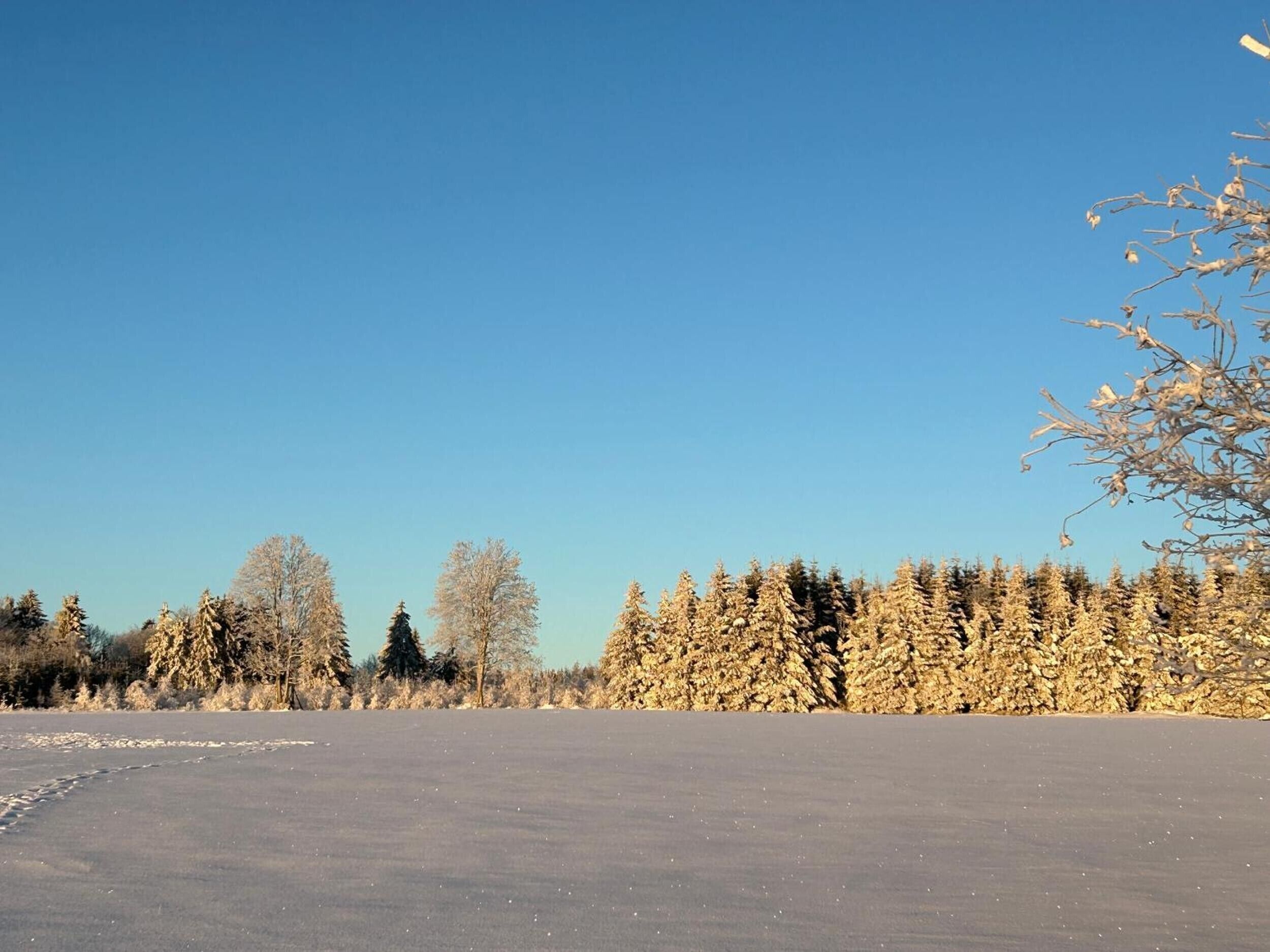 A snowy landscape with a clear sky, a frozen lake, and a forest in the background.