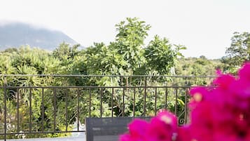 Apartamento, 1 habitación, fumadores, balcón | Vistas al jardín