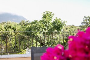 Apartamento, 1 quarto, para fumantes, sacada | Vista para o jardim