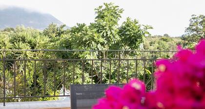 Areopolis Central Apartment