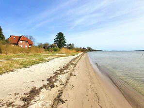 Ein Strand mit einem Sandweg, der zum Wasser führt, Häuser im Hintergrund und einem klaren Himmel.