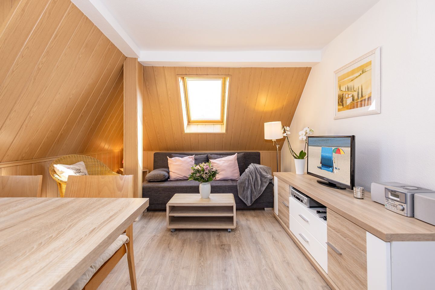 Fernseher, DVD-Player, Tischtennisplatte