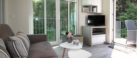 TV, DVD player, stereo