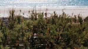 Blick auf einen Strand mit einer Holzkonstruktion im Vordergrund.
