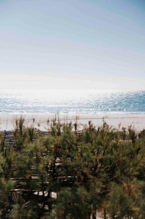 En la playa y toallas de playa 