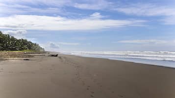 Condo, 2 Bedrooms, Smoking, Balcony | Beach