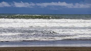 Condo, 2 Bedrooms, Smoking, Balcony | Beach