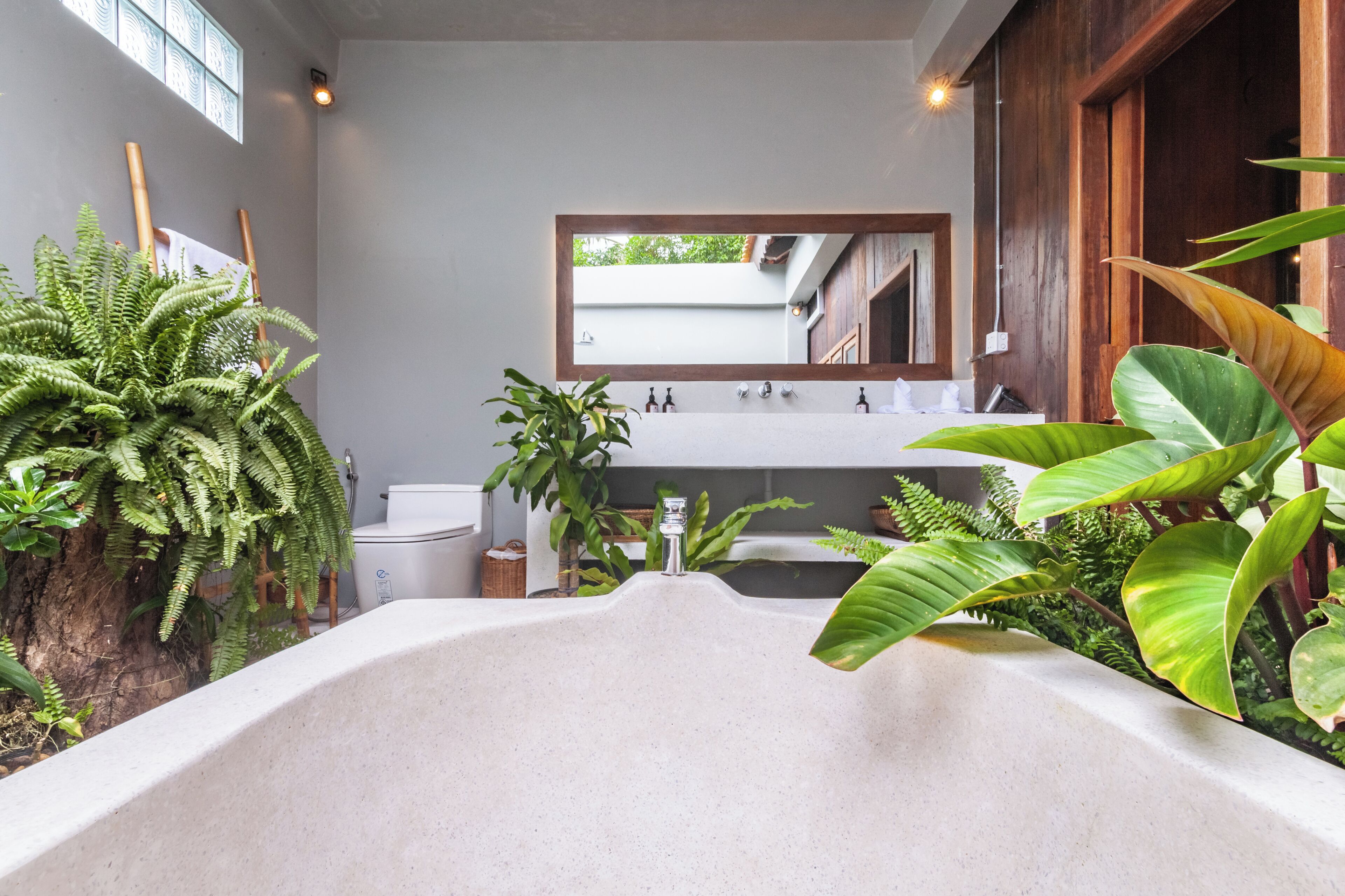 ヘアドライヤー、タオル、石鹸、トイレットペーパー