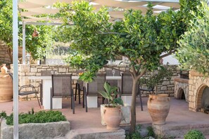 Garden - Afroditi 4 Villa (Mylopotamos)