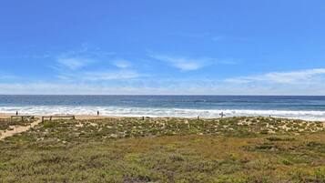A beach with a sandy path and sparse vegetation leading to the ocean.