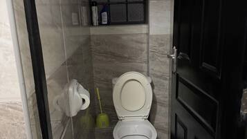 Shower, towels, soap, toilet paper