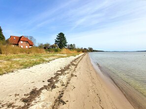 A sandy beach with a clear view of the water, a red-roofed house, and a large tree. - Quiet vacation apartment with a view of the sea - Ferienwohnung Blick auf Vilm (Putbus)