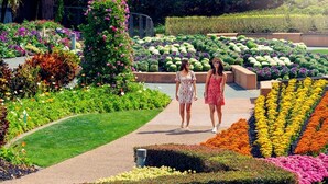 A pathway in a garden with various flower beds and greenery. - River View Sanctuary - Walk to CBD & South Bank (Brisbane City)