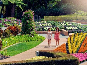 Property grounds - River View Sanctuary - Walk to CBD & South Bank (Brisbane City)