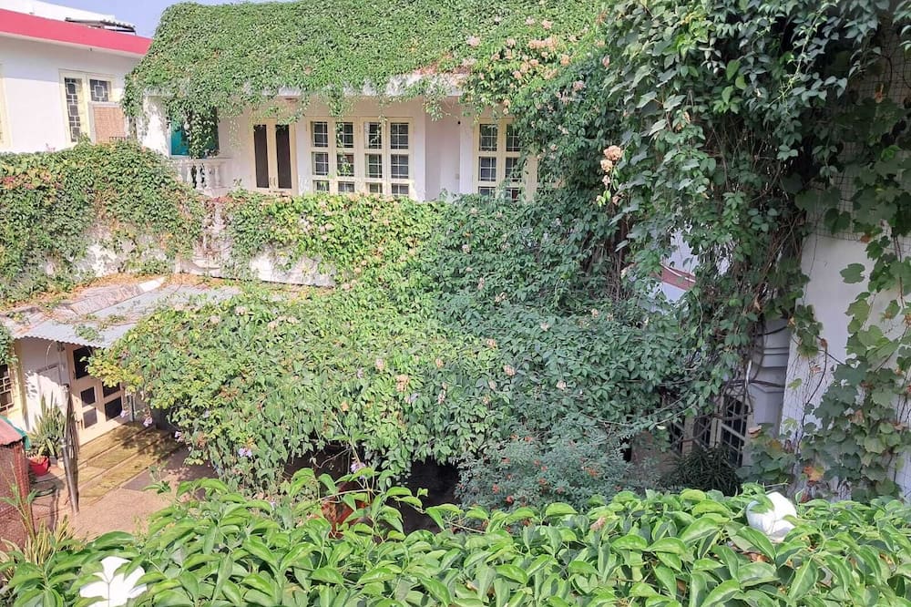 Vijaya's Homestead