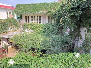 A courtyard with a white building, covered in green ivy, and surrounded by lush vegetation. - Vijaya's Homestead (Jaipur)