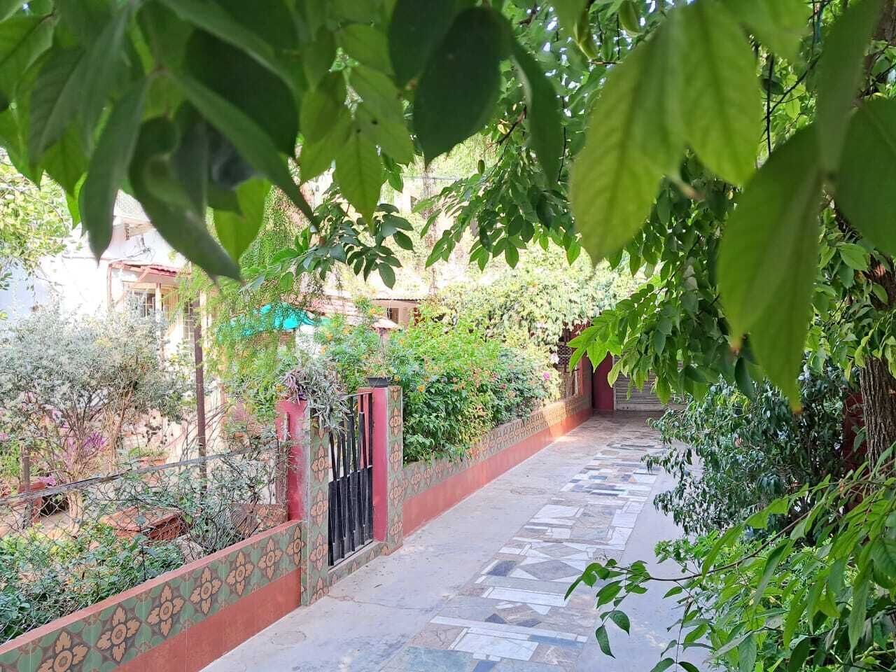 A pathway leading through a garden with a patterned wall and a gate.