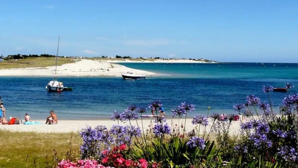 Una platja amb vaixells, gent i flors.