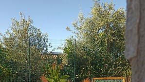 Un cortile con pavimento in pietra, piante in vaso e una panchina.