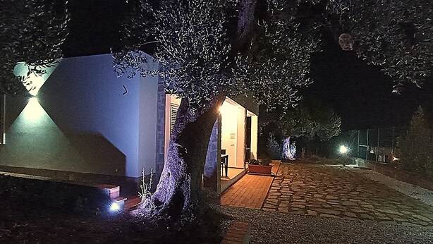 Un edificio con ingresso lastricato, un albero di fronte e un vialetto illuminato.
