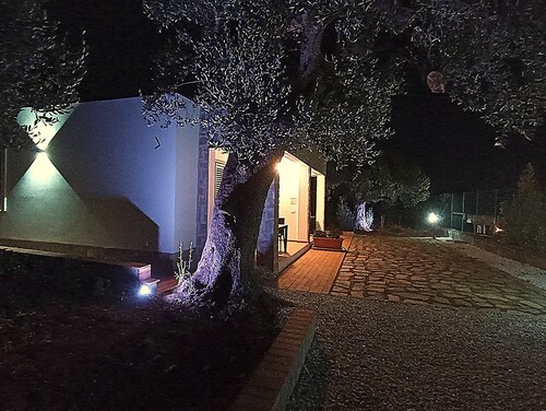 "Case Cilento Mare" Brand New One-Bedroom Apartments with Furnished Patio