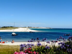 Ein Strand mit Booten, Menschen und Blumen.