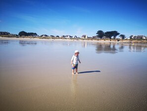 Playa en los alrededores 