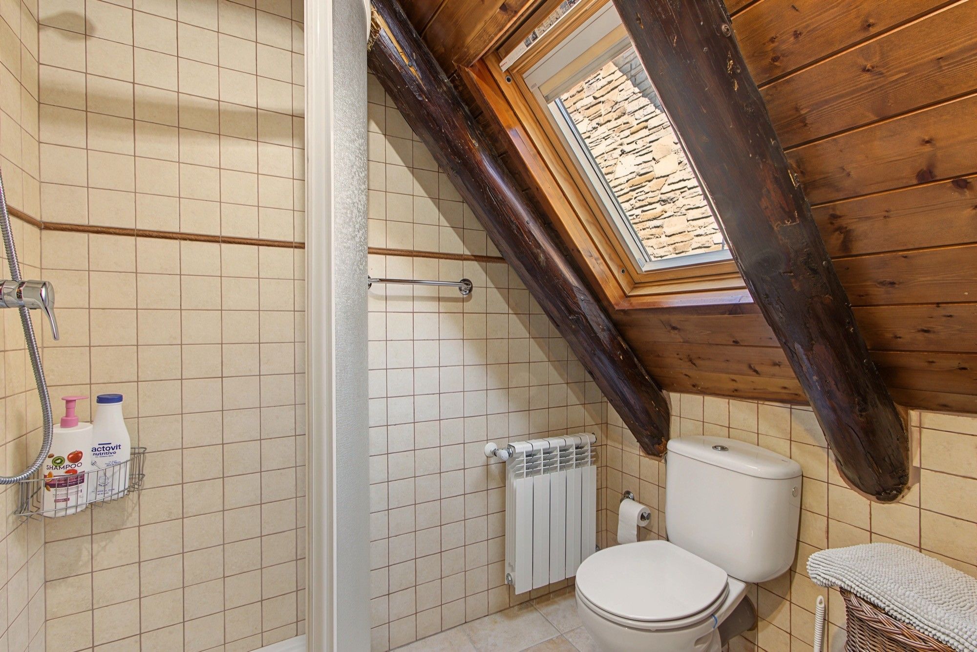 Een badkamer met douche, toilet en dakraam.