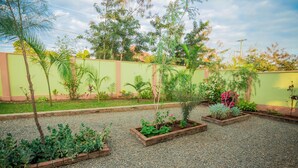 A garden with various plants and a gravel path. - Volunteer Hostel (Moshi)