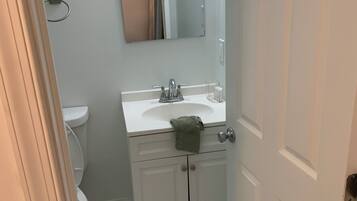 Shower, hair dryer, bidet, towels
