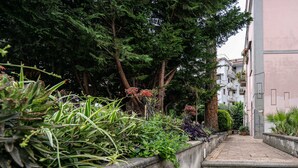Un sentiero stretto circondato da vegetazione rigogliosa e un edificio con balconi.