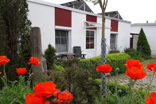 On the Fischland, a narrow stretch of land between the sea and the Bodden, you will find