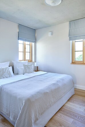 Iron/ironing board, free WiFi, bed sheets - Comfortable vacation apartment in an exclusive vacation home near the Baltic Sea (Wustrow)