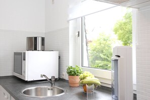 Fridge, microwave, oven, stovetop - Apartment "Sophia's 4.0", 50 m², 1 Bedroom, Balcony & Wi-Fi (Brilon)