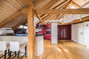 Fridge, microwave, oven, stovetop - Stunning apartment with roof terrace (Winterthur)