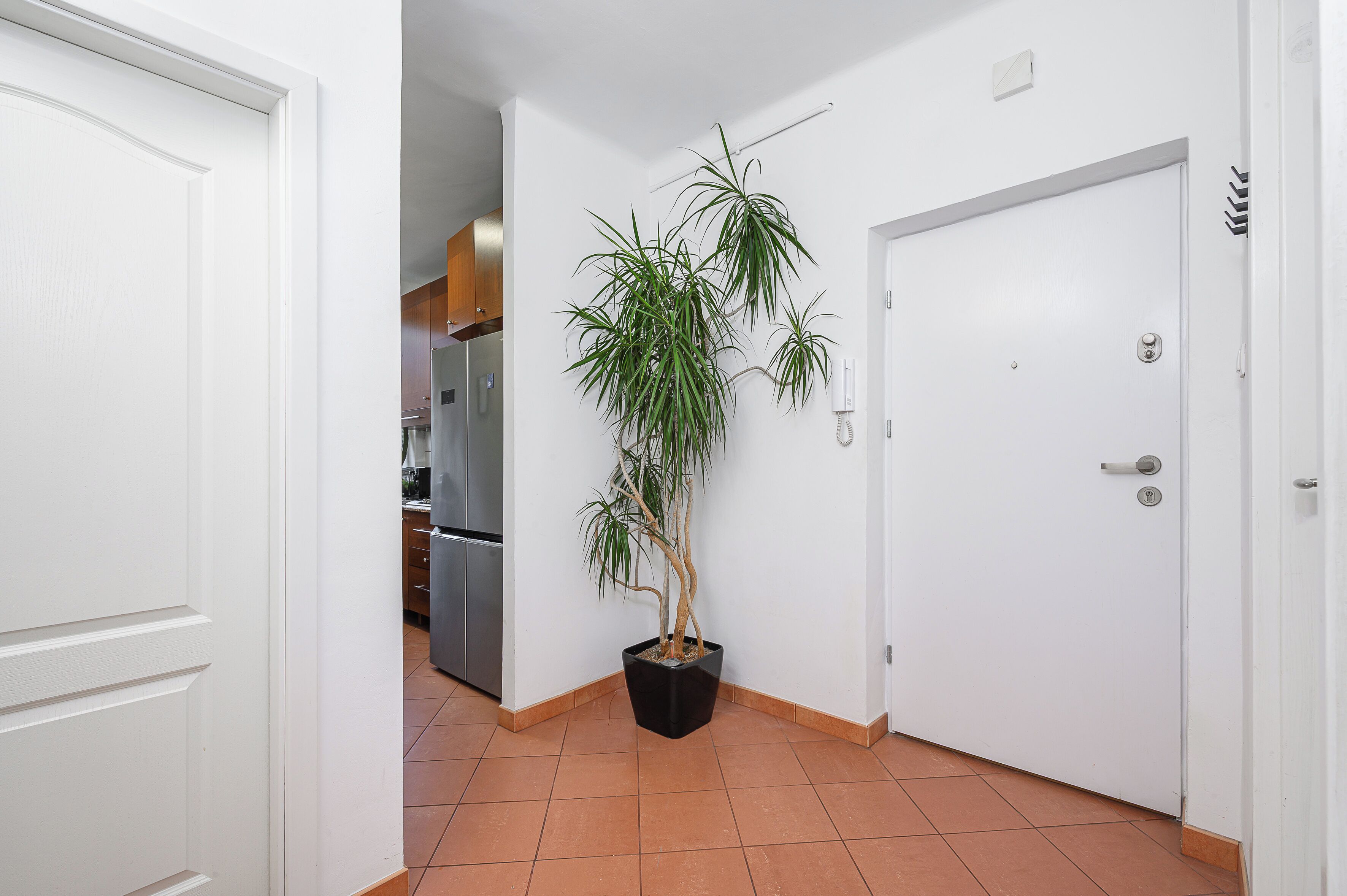 Un couloir avec une plante en pot, une porte blanche et, au fond, un espace cuisine.
